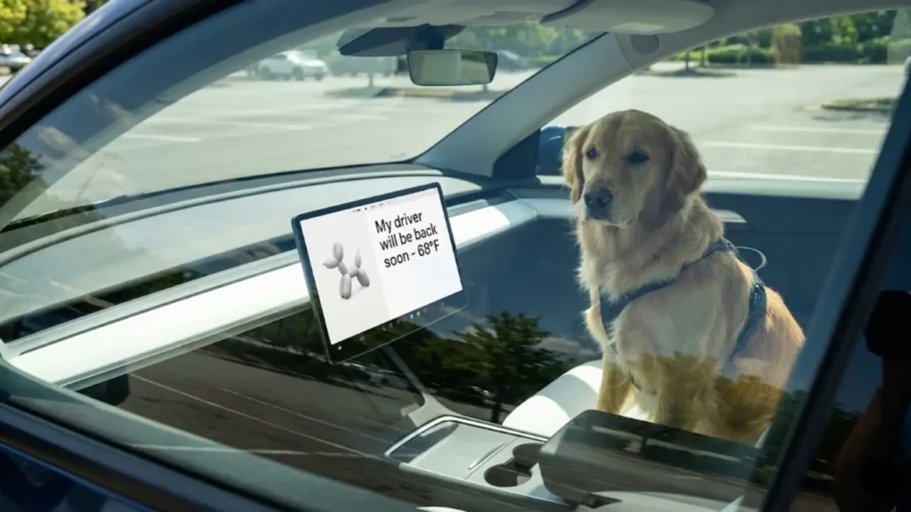 Tesla Dog Mode guide